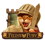 Feline Fury