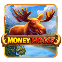 Money Moose