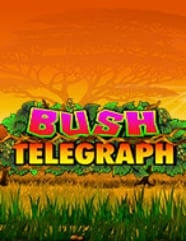 Bush Telegraph