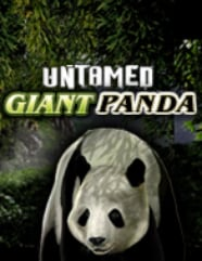 Untamed Giant Panda