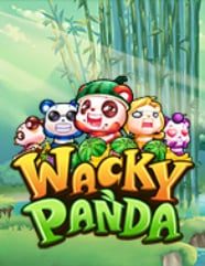 Wacky Panda