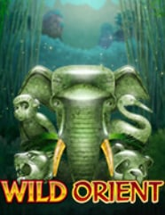 Wild Orient